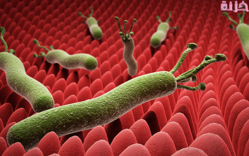 أعراض جرثومة المعدة والقولون وعلاجها