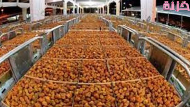 شروط ترخيص مصنع تمور والمعدات اللازمة للمشروع