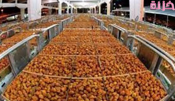 شروط ترخيص مصنع تمور والمعدات اللازمة للمشروع