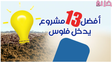 أفضل مشروع يدخل فلوس