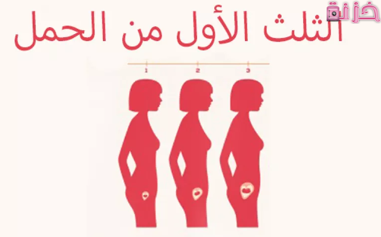 الاكل الممنوع للحامل في الشهور الأولى من فترة الحمل
