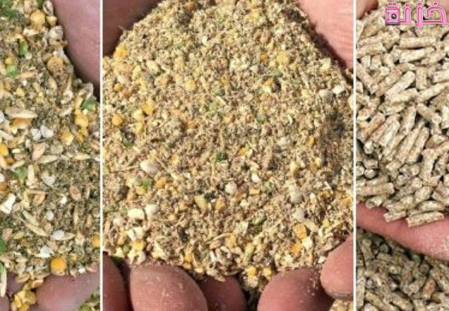 سعر شيكارة العلف 50 كيلو اليوم في مصر