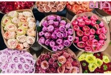 انواع الورود واسمائها بالصور