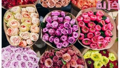 انواع الورود واسمائها بالصور