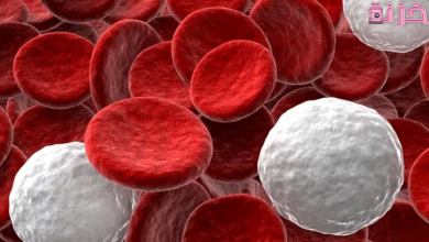 هل نقص كريات الدم البيضاء يسبب سرطان