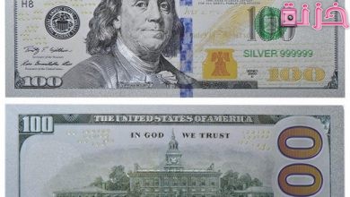 كيف تربح 100 دولار يوميا في 10 ثواني فقط