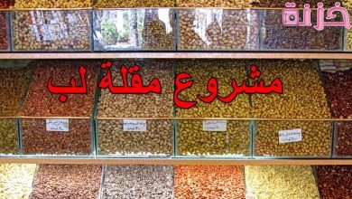 مشروع مقلة لب وتسالي